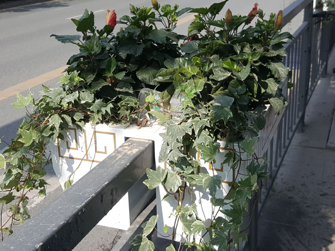 欄桿壁掛金屬花箱-道路護欄景觀(guān)花箱